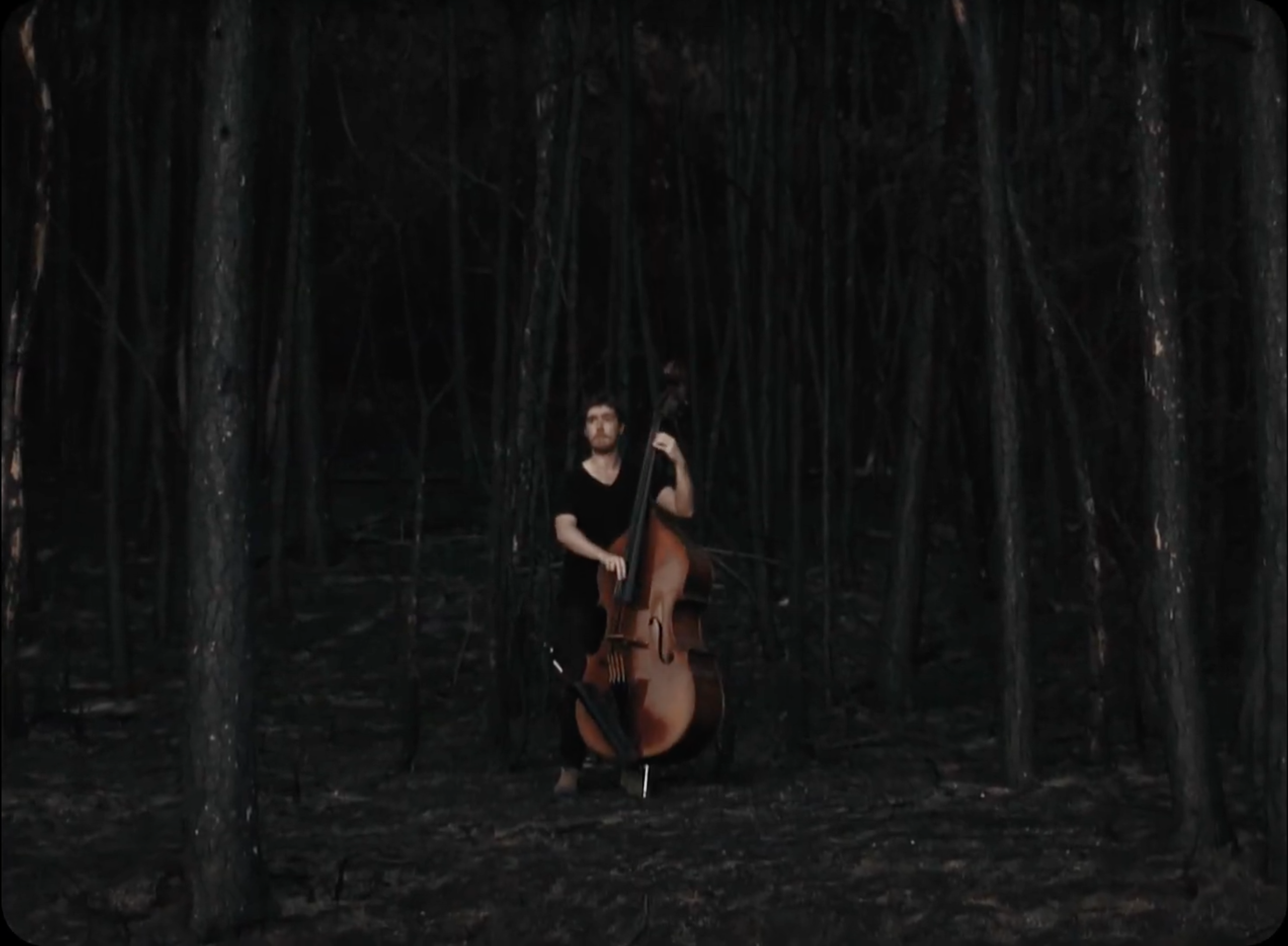 Collaboration-Clips-georgestorey_forestfire2