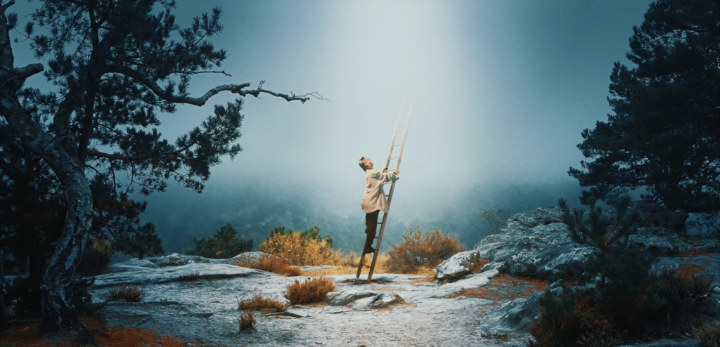 SOUSBOIS Snap1 1024x494